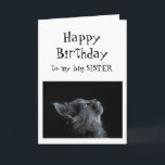 Someone I look up to Sister Birthday Animal Humor Card<br><div class="desc">Someone I look up to Sister  Birthday Animal Humor  There's plenty of room to add your own message</div>
