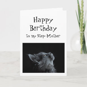 Someone I look up to Step-Mother Birthday Cat Fun Card