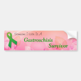 "Someone I Love" Gastroschisis Bumper Sticker