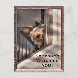 Someone is watching YOU Postcard