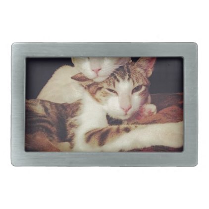 Someone to Lean on Kitty Cats Belt Buckle