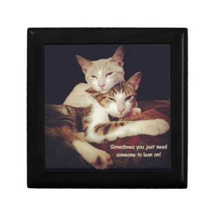 Someone to Lean on Kitty Cats Keepsake Box