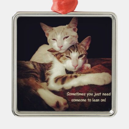 Someone to Lean on Kitty Cats Metal Ornament