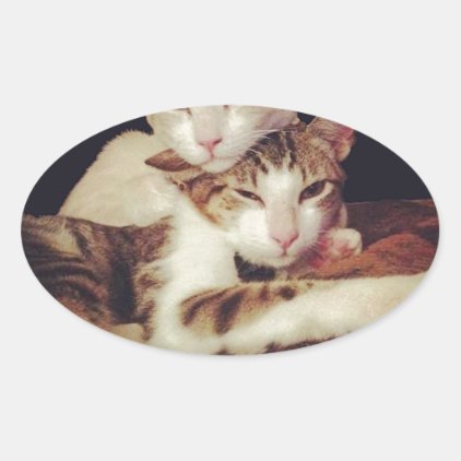 Someone to Lean on Kitty Cats Oval Sticker