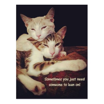 Someone to Lean on Kitty Cats Postcard