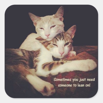 Someone to Lean on Kitty Cats Square Sticker