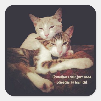 Someone to Lean on Kitty Cats Square Sticker