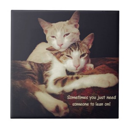 Someone to Lean on Kitty Cats Tile