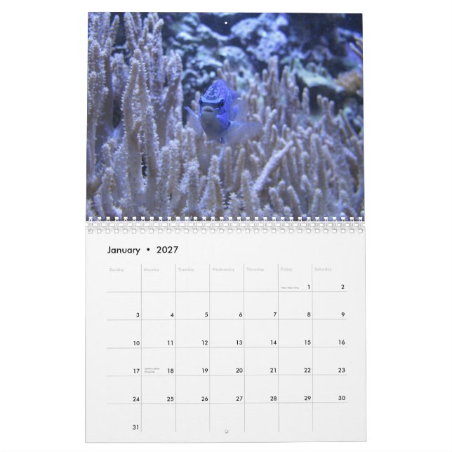 Something Fishy Calendar (Jan 2027)