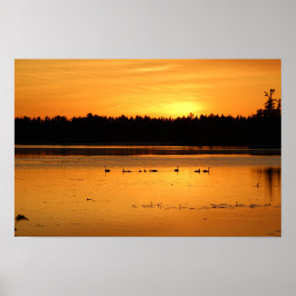 Something in The Orange - Ducks Poster