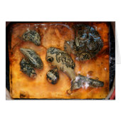 Something strange caught in the amber resin Card (Front Horizontal)