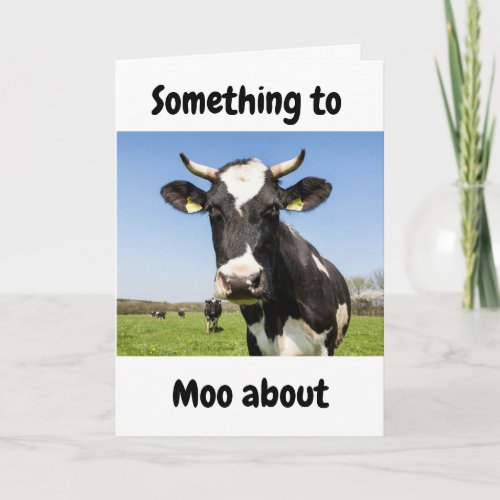 SOMETHING TO MOO ABOUT 25th ANNIVERSARY Card