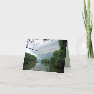 Sometimes a passing storm... card