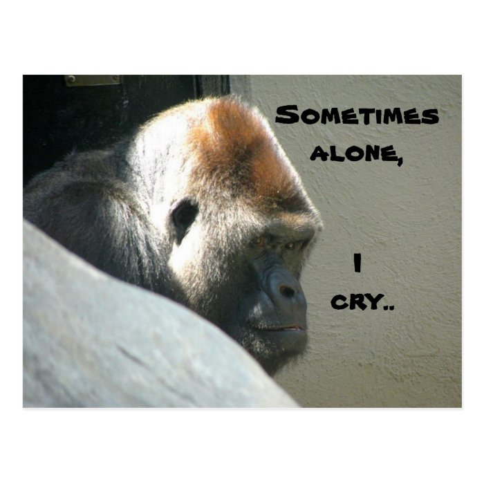 SOMETIMES ALONE I CRY ape  postcard