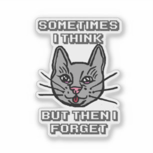 Sometimes I Think But Then I Forget Cat Meme Joke Sticker