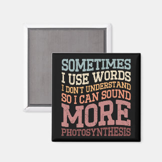 Sometimes I Use Words I Don't Understand Funny Magnet