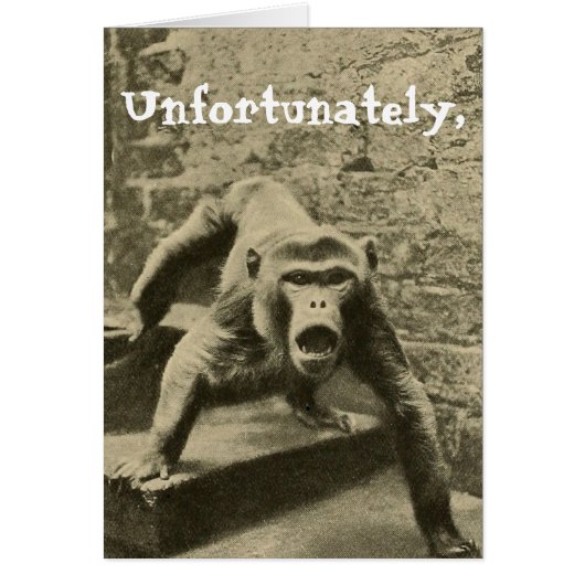 Sometimes it is Your Circus, They are Your Monkeys Cards (Front)