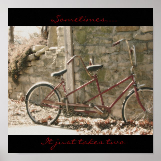 Sometimes.... It just takes two Poster (Front)