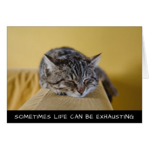 Sometimes Life Can Be Exhausting Cute Cat Cards