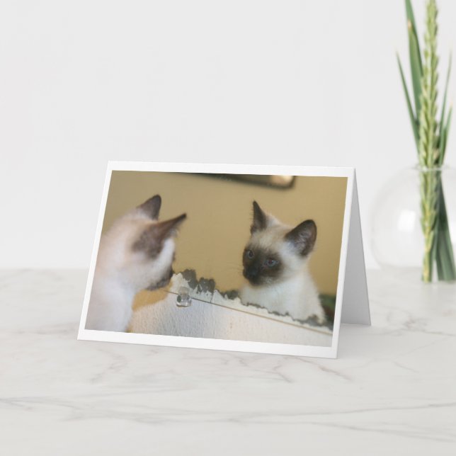 Sometimes, you just know you look good..... card (Front)