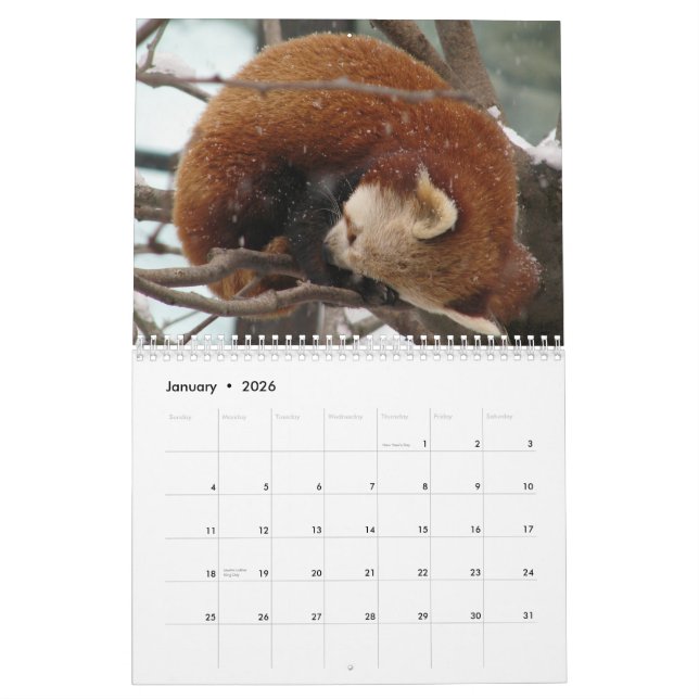 Somewhat-Seasonal Calendar (Jan 2026)