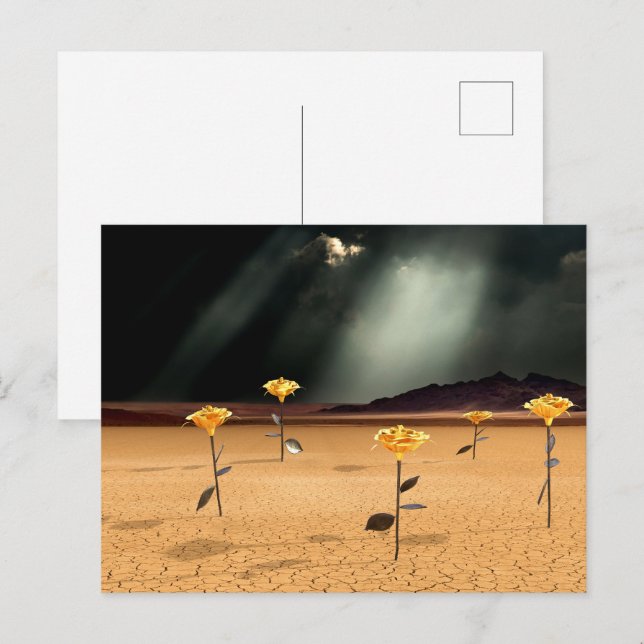 Somewhere No. 3 Postcard (Front/Back)