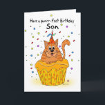 son birthday card with ginger cupcake cat<br><div class="desc">son birthday card with ginger cupcake cat  A sweet little kittie sat in a tasty cupcake with falling confetti and party hat,  purr-fect birthday cupcake cat.</div>