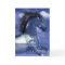 Son Equine Birthday Card North American Indian Sty