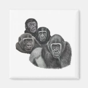 Son Gorilla Magnet By AGE. Gorilla Life