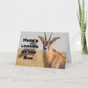 *SON* HERE'S LOOKING AT YOU "FATHER'S DAY" WISH CARD