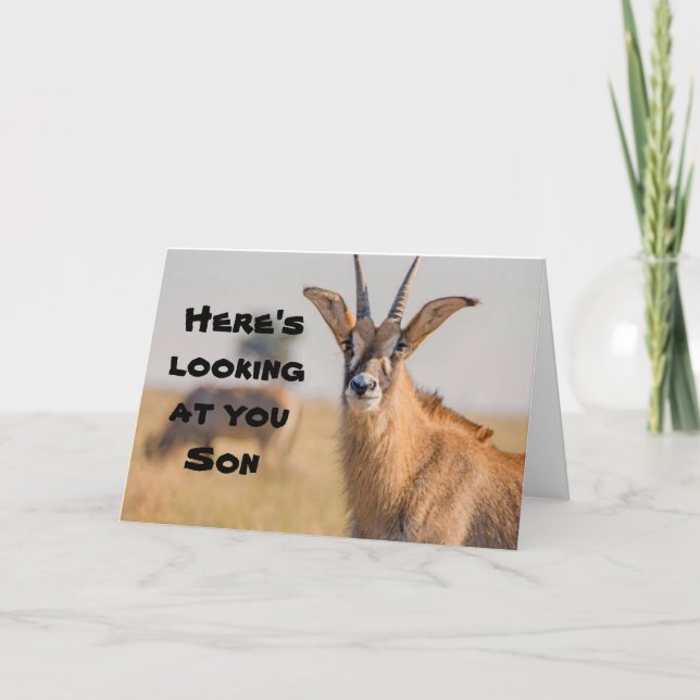 *SON* HERE'S LOOKING AT YOU "FATHER'S DAY" WISH CARD (Front)