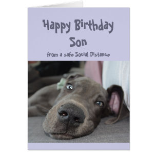 Son Social Distancing Birthday Great Dane Dog Cards