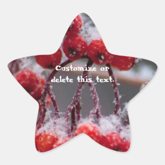 SONB Snow on Berries; Customizable Star Sticker