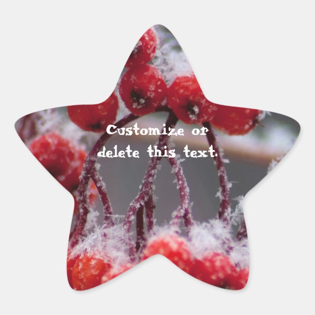 SONB Snow on Berries; Customizable Star Sticker (Front)