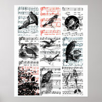 Song Birds Sheet Music Vintage Ephemera Art