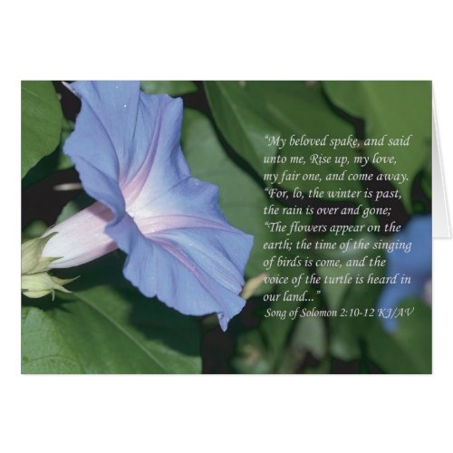 Song of Solomon 210_12 Scripture Card