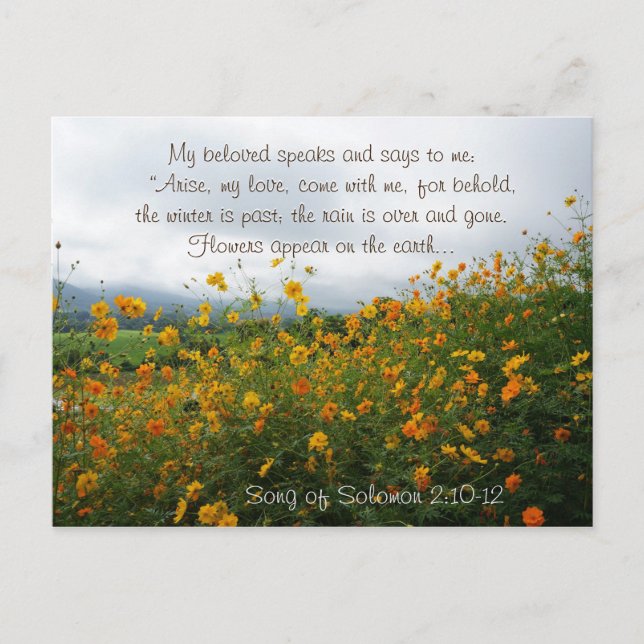 Song of Solomon 2:10 Arise my love, come with Me Postcard (Front)