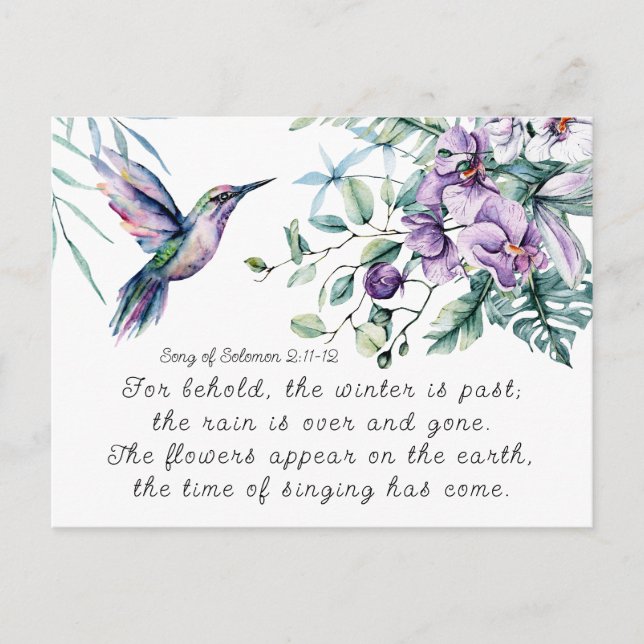Song of Solomon 2:11-12 Hummingbird Flowers Bible Postcard (Front)