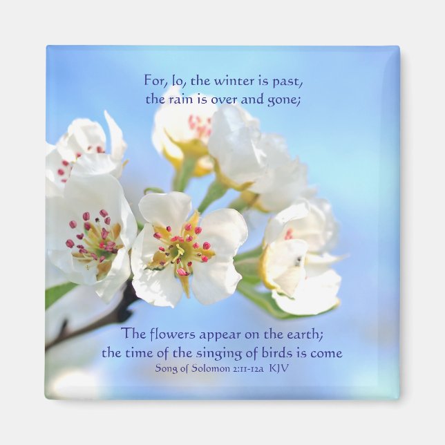 Song of Solomon 2:11-12a The flowers appear Magnet (Front)