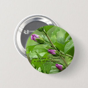 Song of Solomon 2:1 Button
