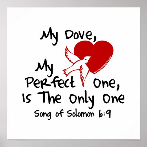 Song of Solomon 69 Poster
