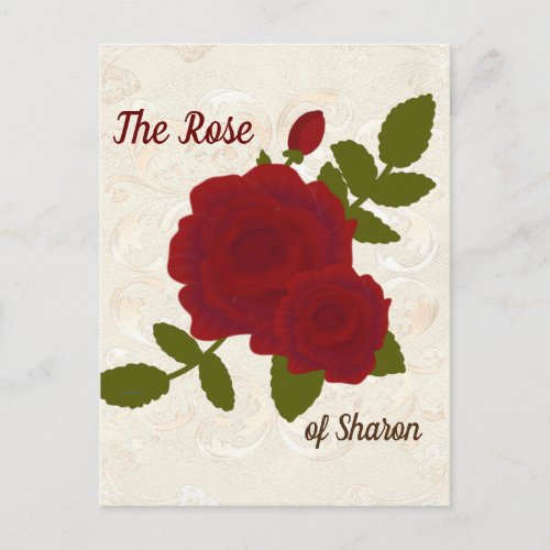 Song of Solomon Rose  Designer Postcard