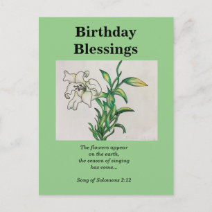 Song Of Solomons Birthday Blessing White Lily Postcard