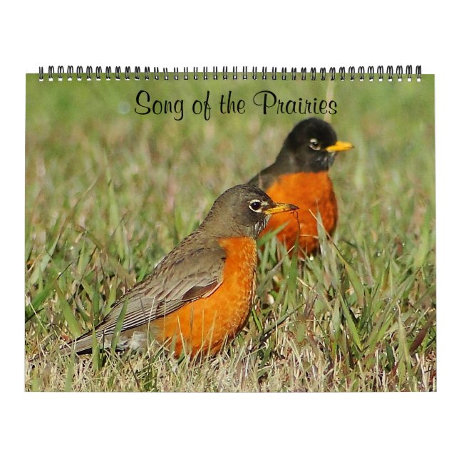 Song of the Prairies 2014 Calendar (Cover)