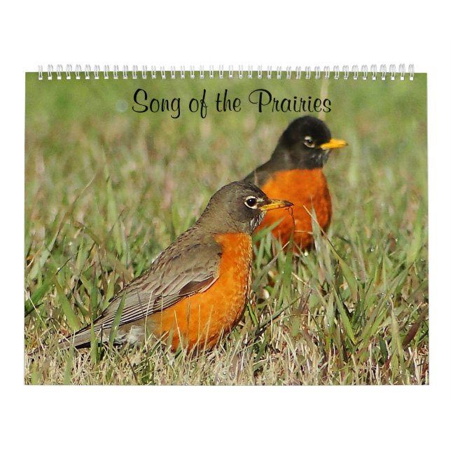 Song of the Prairies Calendar (Cover)