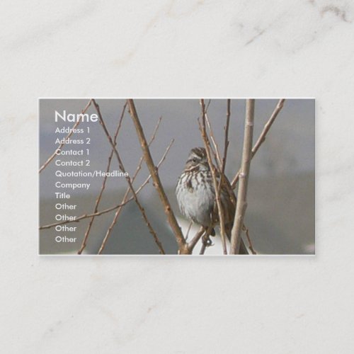 Song Sparrow Business Card