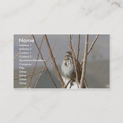 Customizable Song Sparrow Business Card
