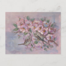 Song Sparrow Holiday Postcard