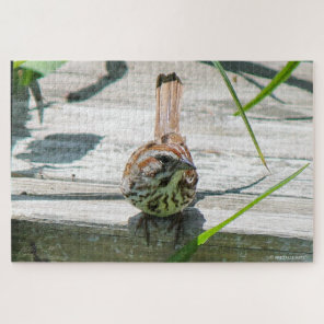 Song Sparrow Jigsaw Puzzle