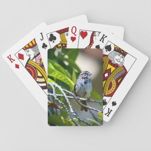 Song Sparrow Playing Cards